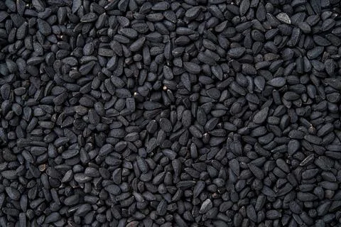 Black cumin macro texture. Whole nigella seeds closeup background. Stock Photos