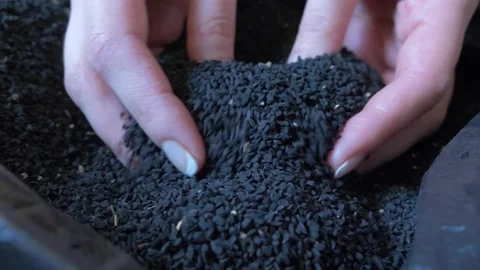 Black cumin seeds close up. Healthy eating Stockbeeldmateriaal 147281155