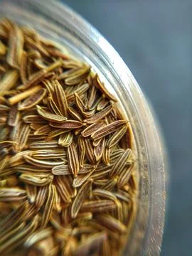 Black Cumin Seeds Stock Photos