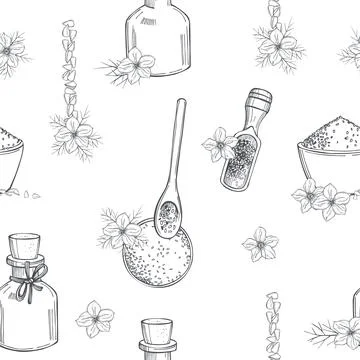 Black cumin  set. Vector  pattern Illustrazione stock