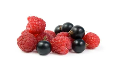 Black currant and raspberry Stock Photos