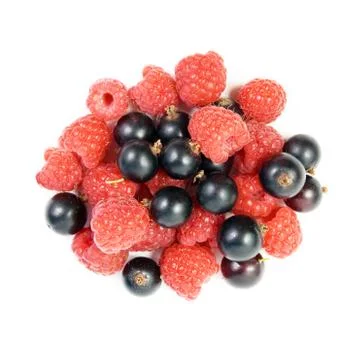 Black currant and raspberry Stock Photos