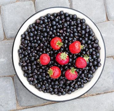 Black  currant berries and strawberry. Stock Photos