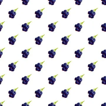 Black currant berries repeating pattern on white background Stock Illustration