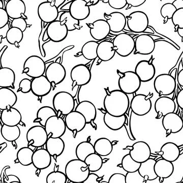 Black currant berries vector pattern Stock Illustration