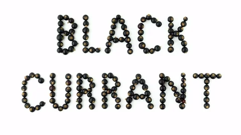 Black currant berries on white background. Fruit font, letters. 4K Stock Footage 80224319