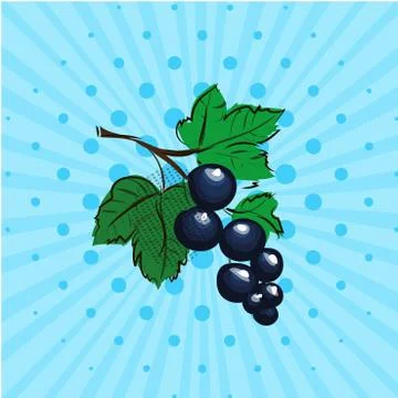 Black currant on a blue background, lines, dots. Hand drawn in style pop art Stock Illustration