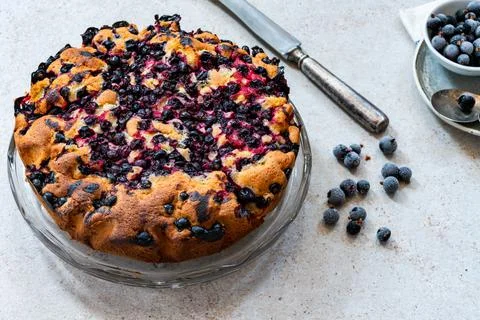 Black currant cake Stock Photos