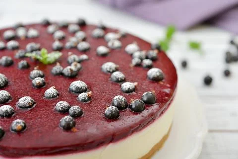 Black currant cheesecake Stock Photos