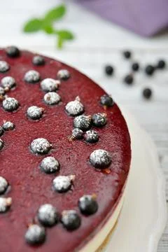 Black currant cheesecake Stock Photos