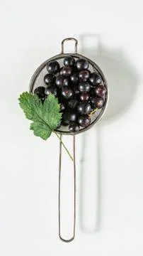 Black currant in a colander with a leaf Stock Photos