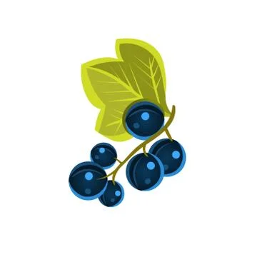 Black Currant  Flat Vector Sticker Illustrazione stock