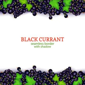 Black currant fruit horizontal seamless borders. Vector illustration card Stock Illustration