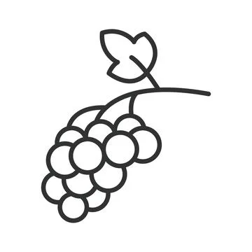 Black currant icon in line design. black currant berry fruit food fresh organic Illustrazione stock