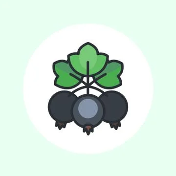 Black currant icon on white, vector illustration Illustrazione stock