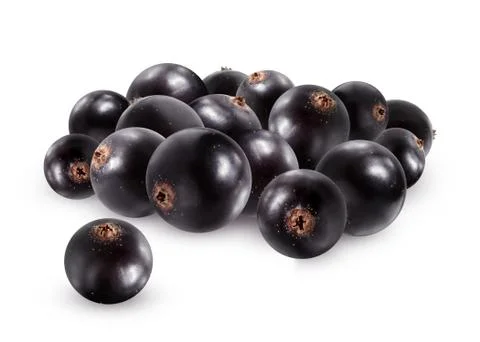 Black currant isolated on white background. Stock Photos