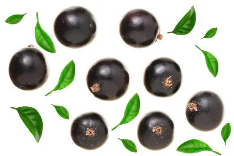 Black currant with leaf isolated on white background. Top view. Flat lay pattern Foto stock