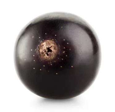 Black currant Stock Photos