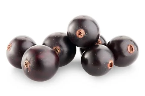 Black currant Stock-Fotos