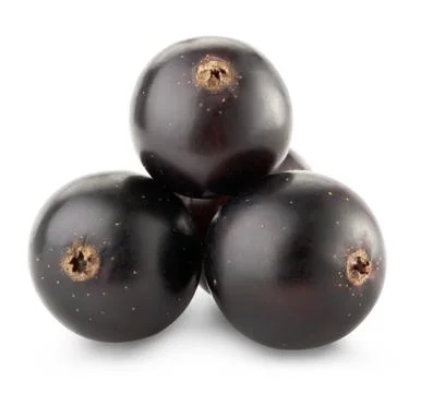 Black currant Stock Photos
