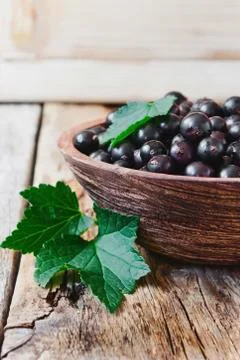Black currant Stock Photos