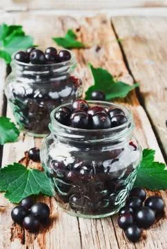 Black currant Stock Photos