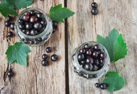 Black currant Stock Photos
