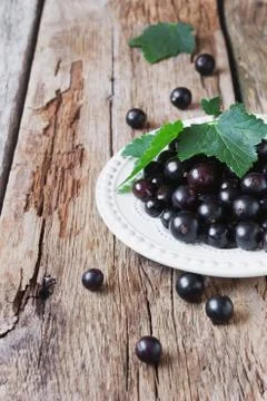 Black currant Stock Photos