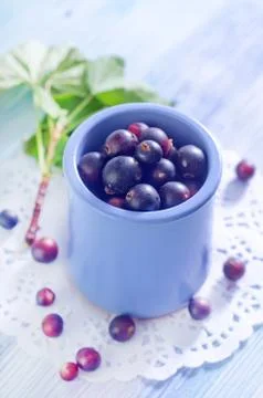 Black currant Stock Photos