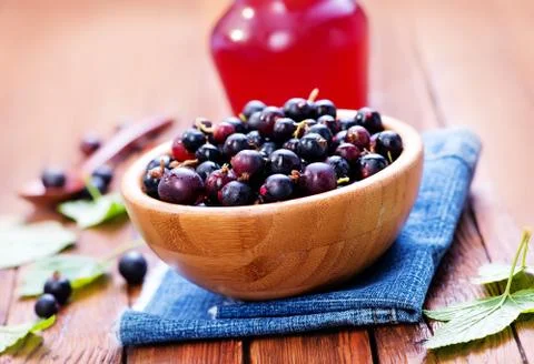 Black currant 写真素材
