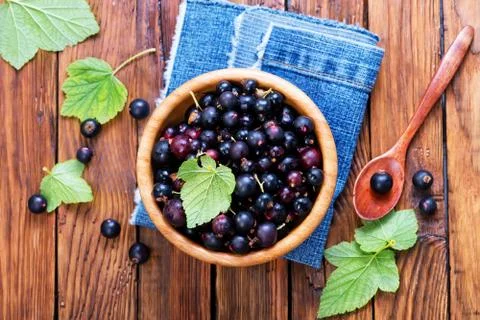 Black currant Foto stock