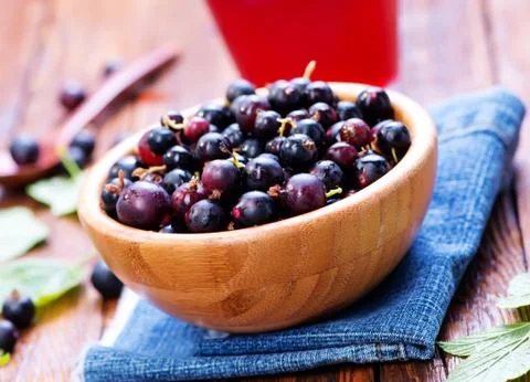 Black currant Foto stock