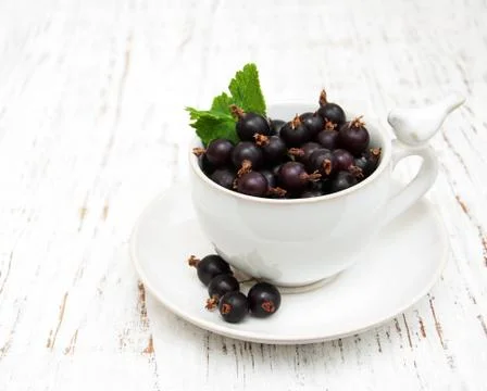Black currant Foto stock