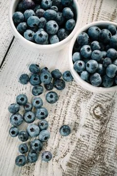 Black currant Stock Photos