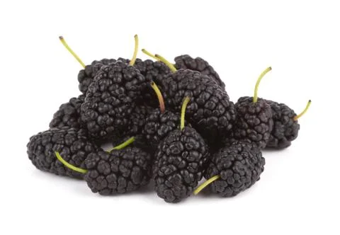 Black currant Stock Photos