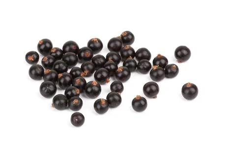 Black currant Stock Photos