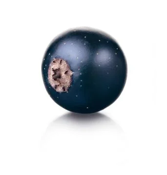 Black currant Stock Photos