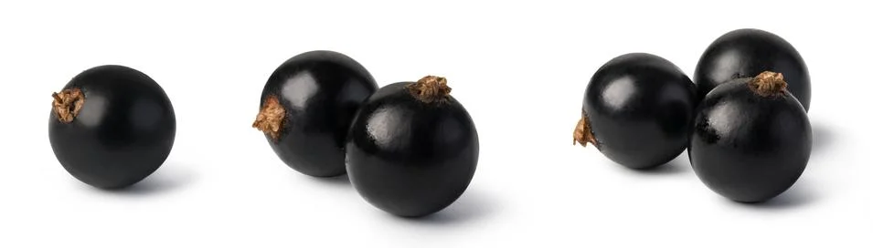 Black currant Stock Photos