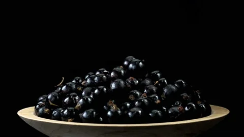 Black currant rotates in 4K Stock Footage 150726479