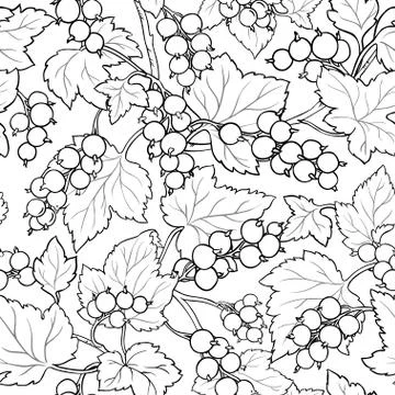 Black currant seamless pattern Stock Illustration