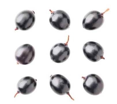 Black currant set on a white background. The view from top Stock Photos