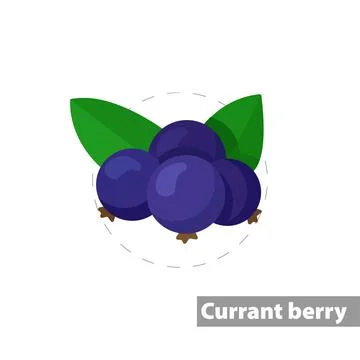 Black currant vector flat illustration icon Stock Illustration