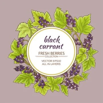 Black currant  vector frame Stock Illustration
