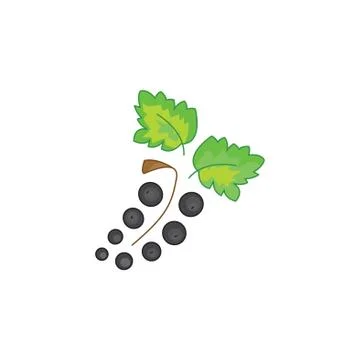 Black currant vector icon on a white background Stock Illustration