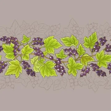 Black currant  vector pattern Stock Illustration