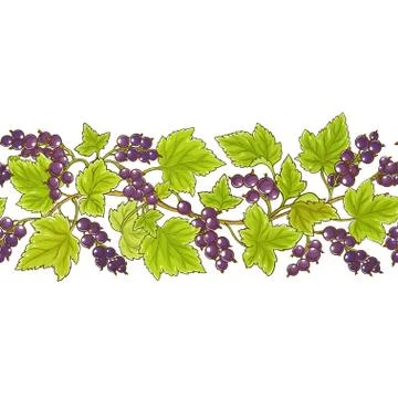 Black currant vector pattern Stock Illustration