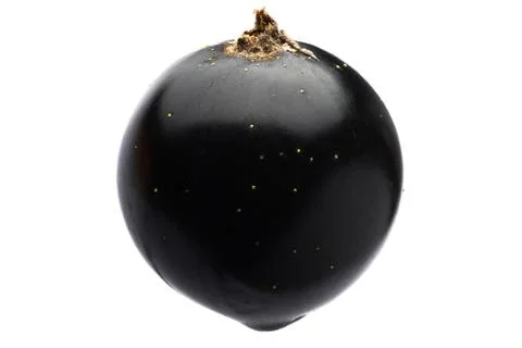 Black currant on a white background. Close up. Macro. Stock Photos