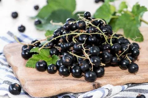 Black currants Stock Photos