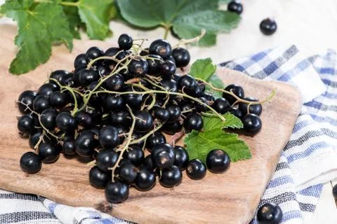 Black currants Stock Photos