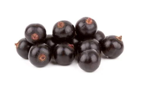 Black currants Stock Photos